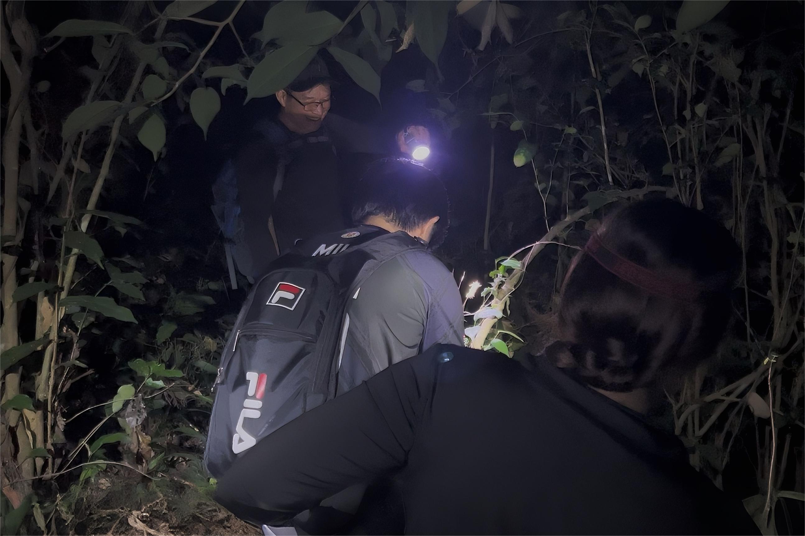 Night Jungle Trek